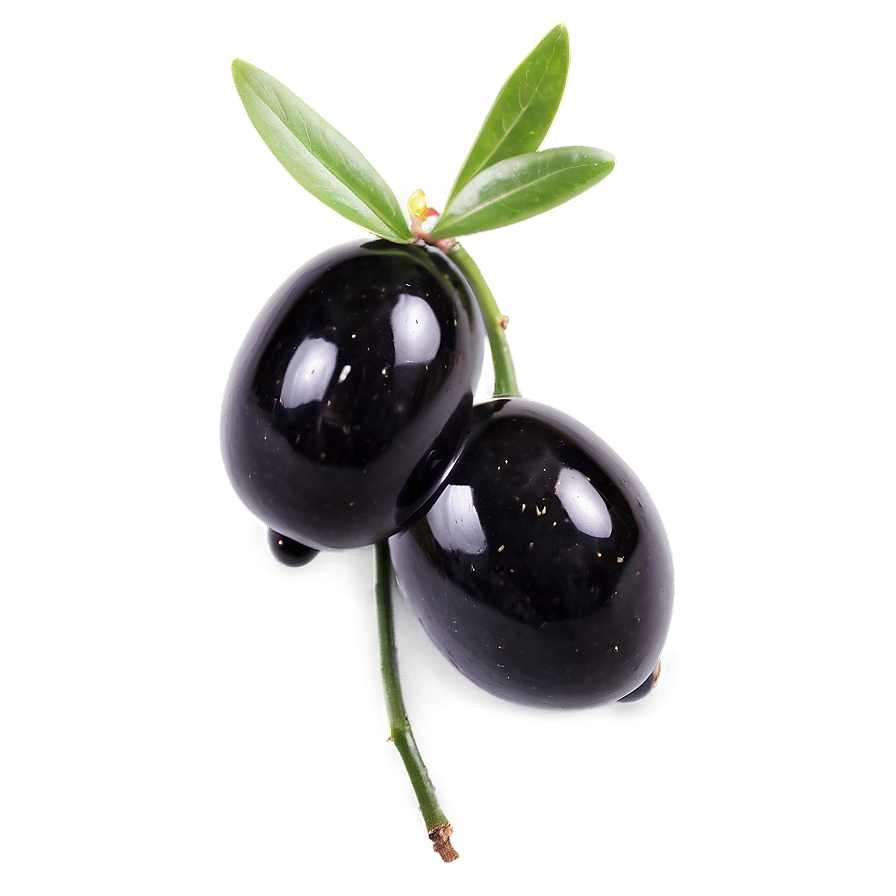 Fresh Black Olives Png Evu