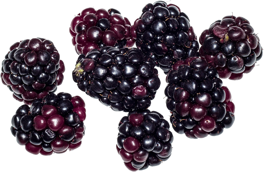 Fresh Blackberries Cluster.png