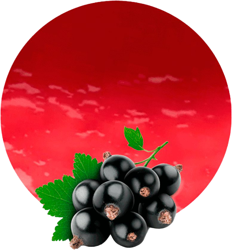 Fresh Blackcurrant Cluster Red Background.png