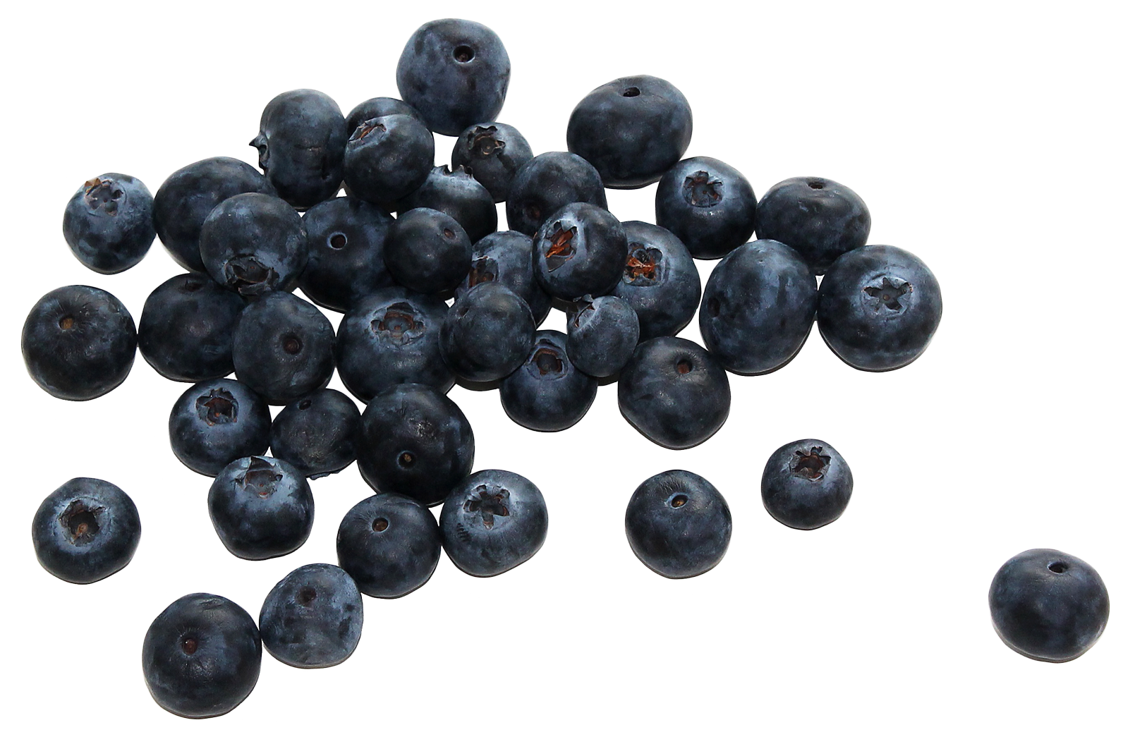 Fresh Blueberries Isolated