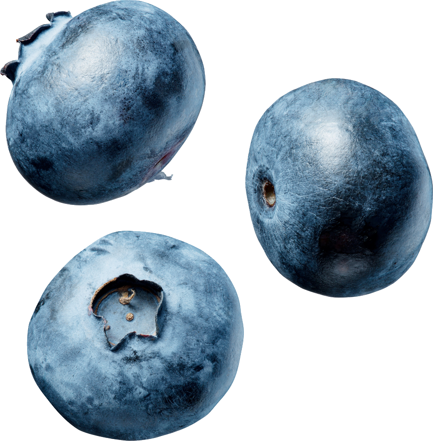 Fresh Blueberries Isolated