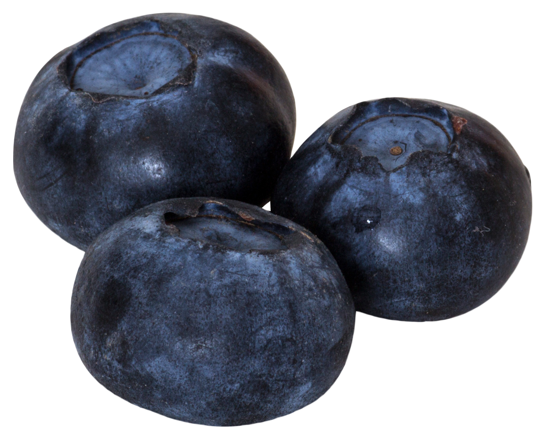 Fresh Blueberries Isolated