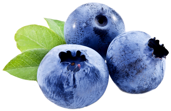 Fresh Blueberries With Leaves Skin Care Ingredients