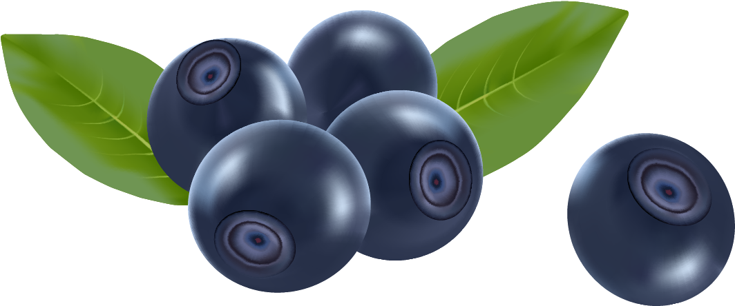 Fresh Blueberrieswith Leaves