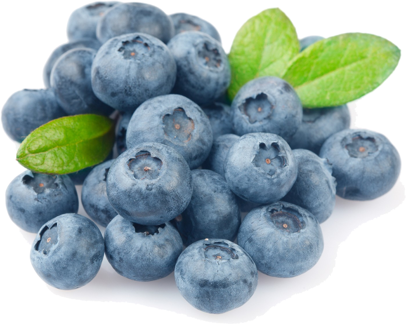 Fresh Blueberrieswith Leaves.png