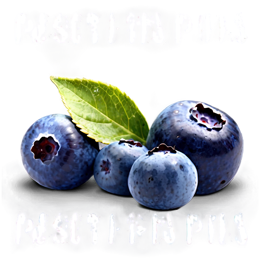 Fresh Blueberry Png Ugi76