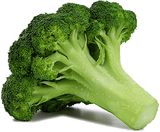Fresh Broccoli Stalk