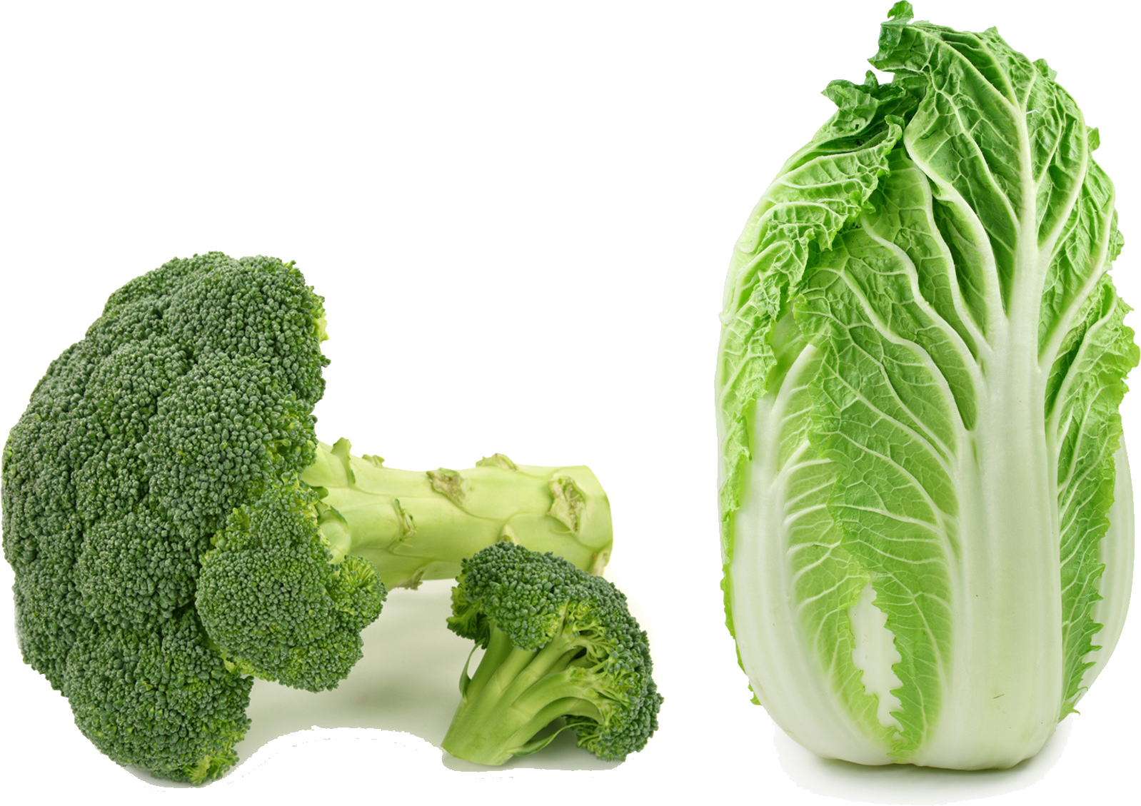 Fresh Broccoliand Cabbage