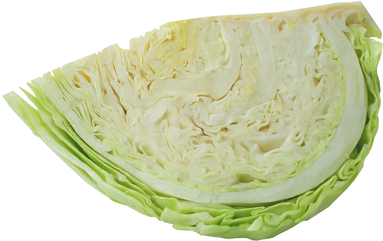 Fresh Cabbage Cut Half Transparent Background.png