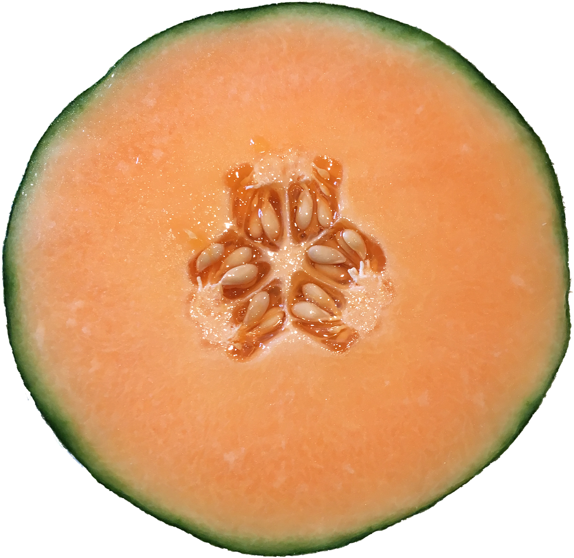 Fresh Cantaloupe Cross Section