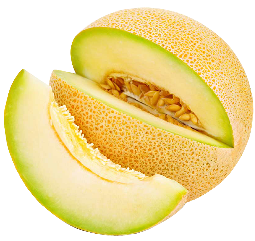 Fresh Cantaloupe Slices Isolated