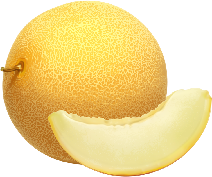 Fresh Cantaloupeand Slice.png