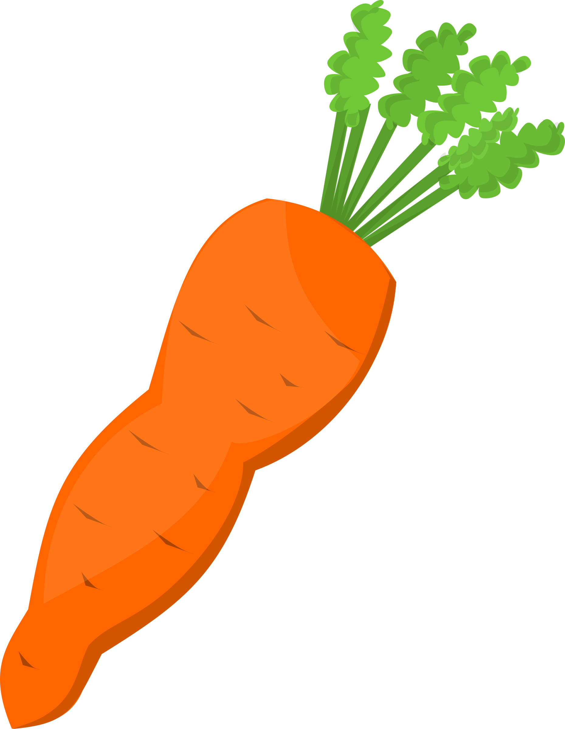 Fresh Carrot Illustration.png