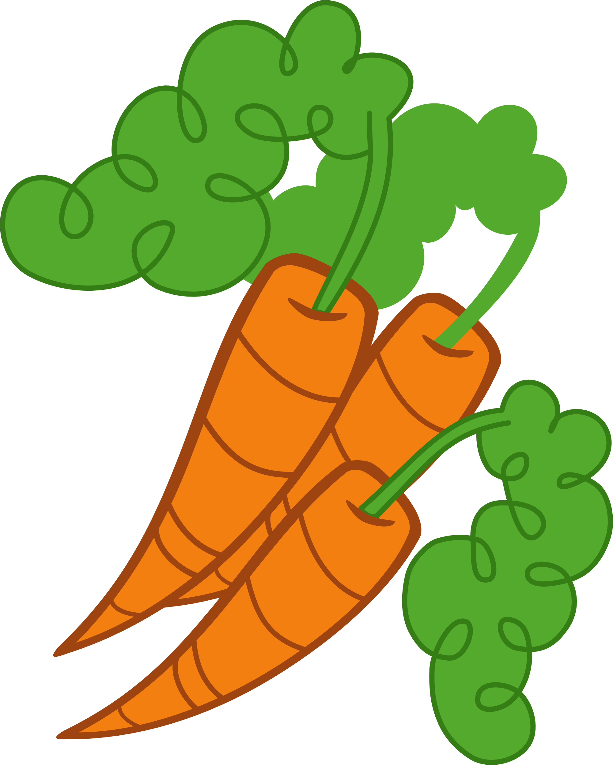 Fresh Carrot Illustration.png