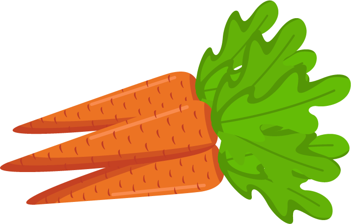 Fresh Carrots Illustration