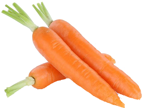 Fresh Carrots Isolated.png