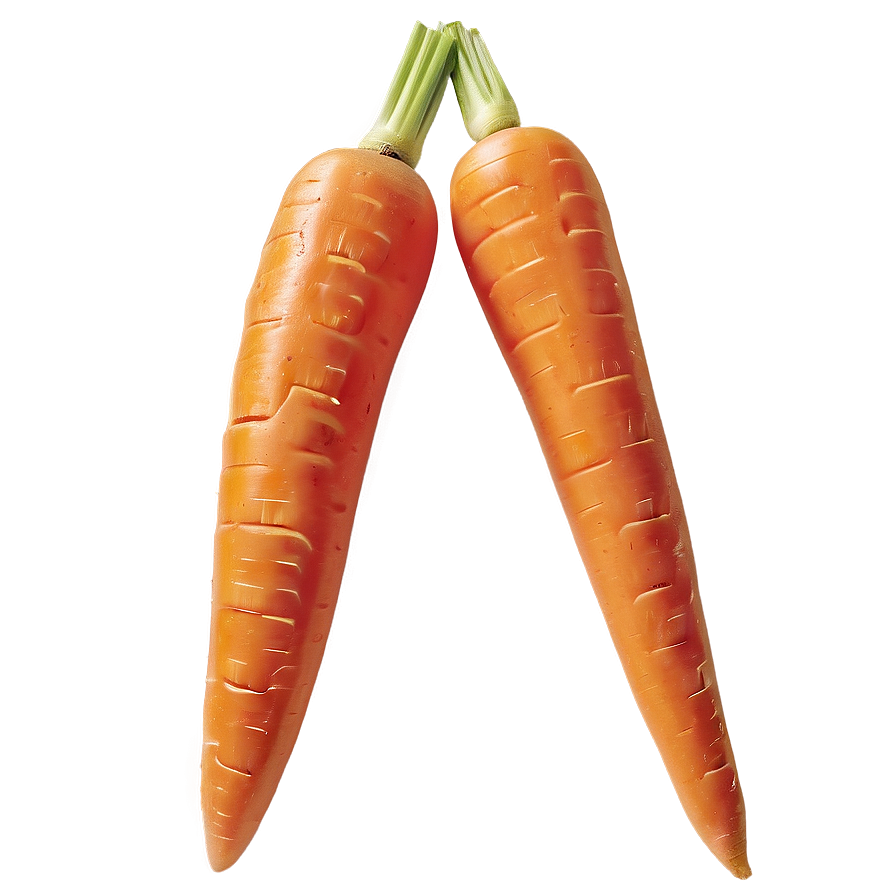 Fresh Carrots Png 42