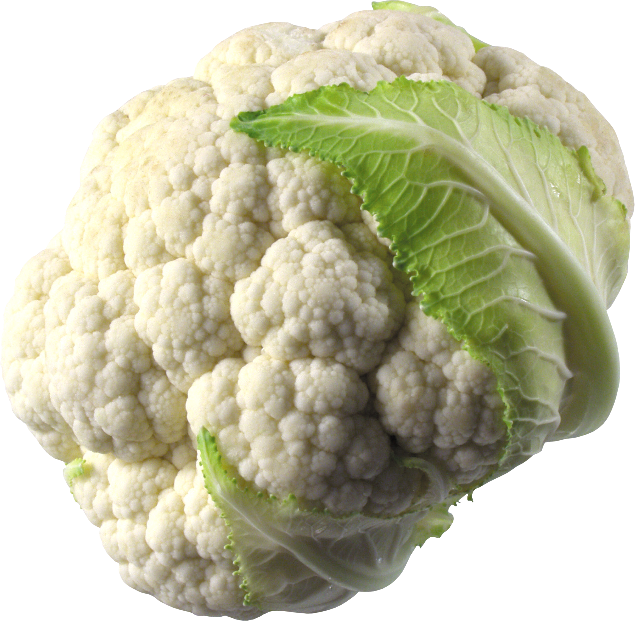 Fresh Cauliflower Isolated.png