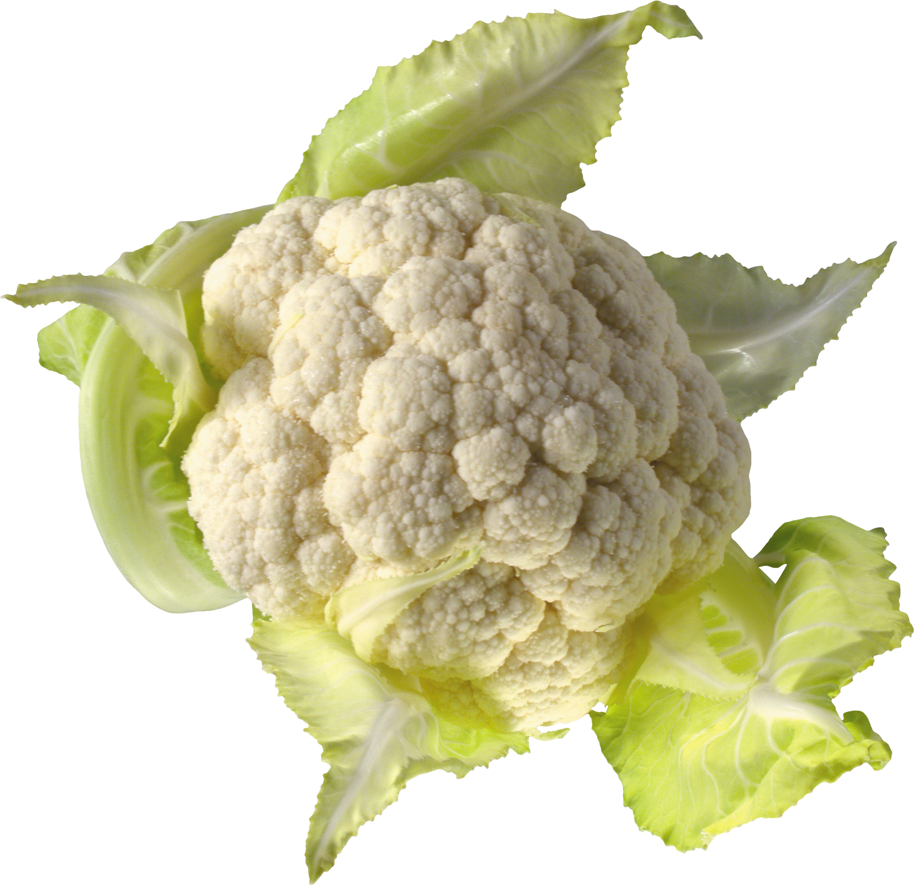 Fresh Cauliflower With Leaves.png