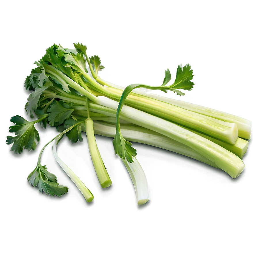 Fresh Celery Png 06252024