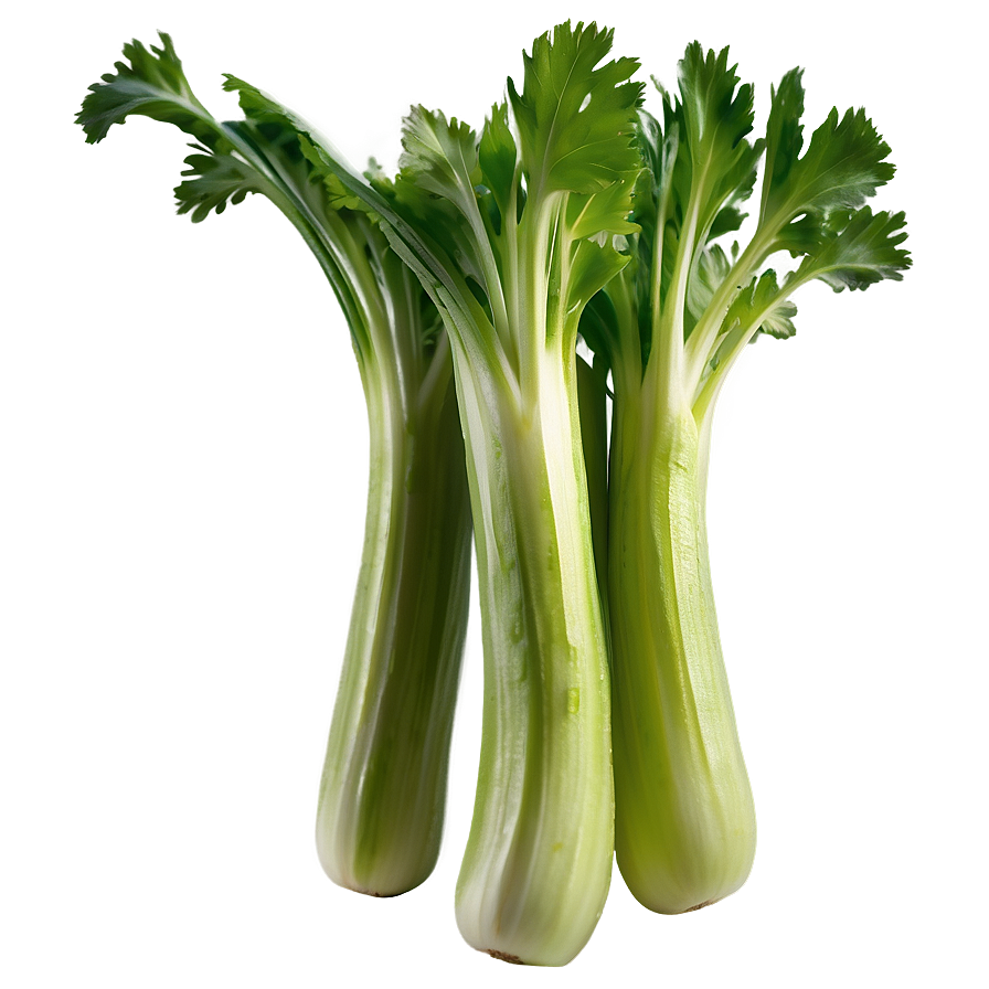 Fresh Celery Png Wmg17