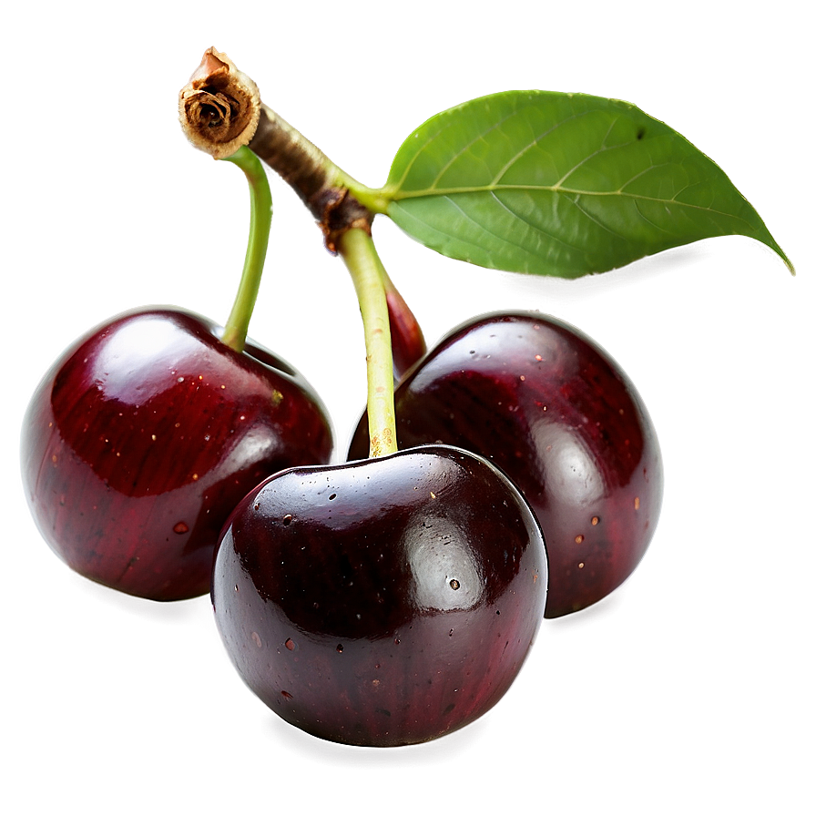 Fresh Cherry Png 72