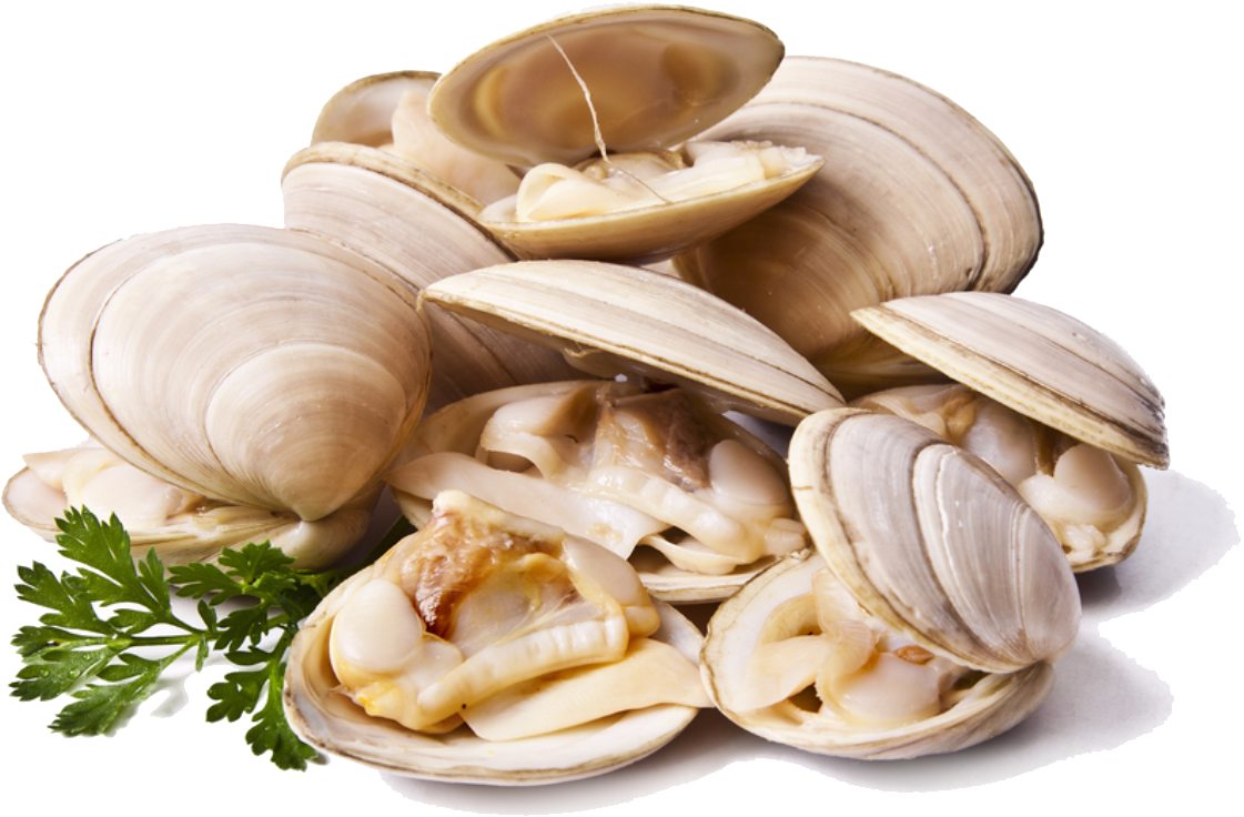 Fresh Clamswith Parsley.png
