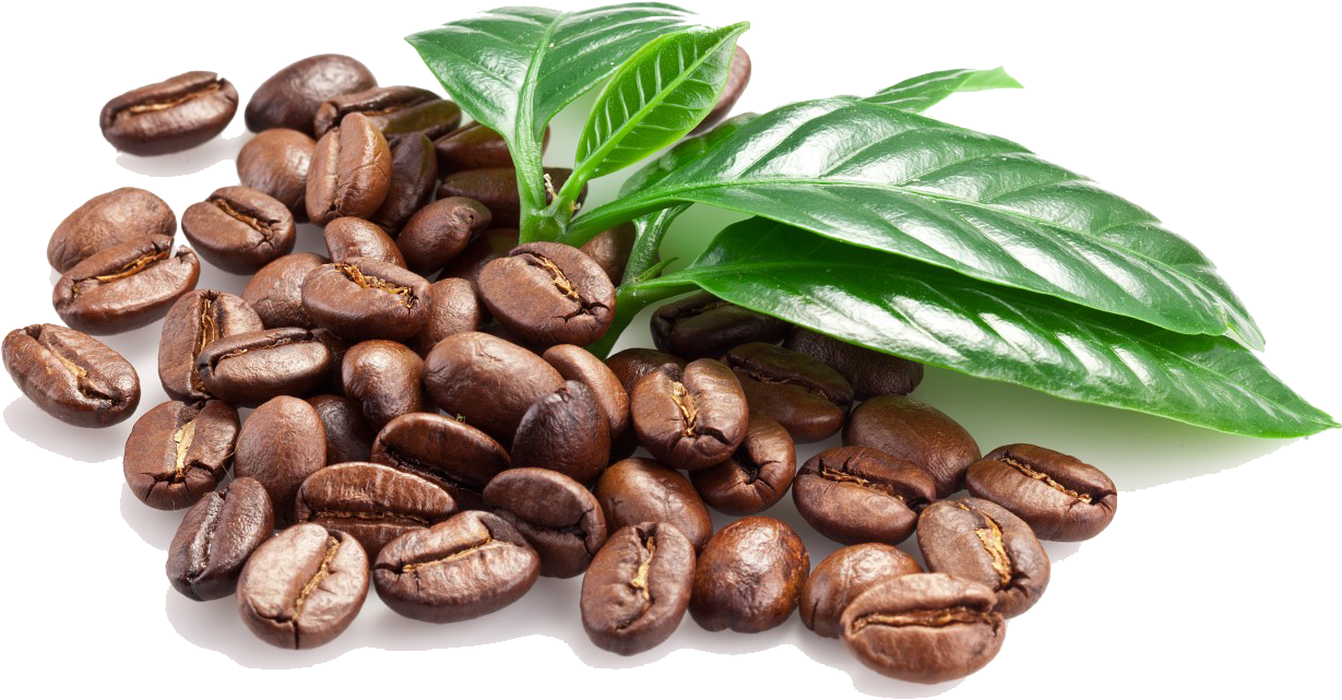 Fresh Coffee Beans With Leaves