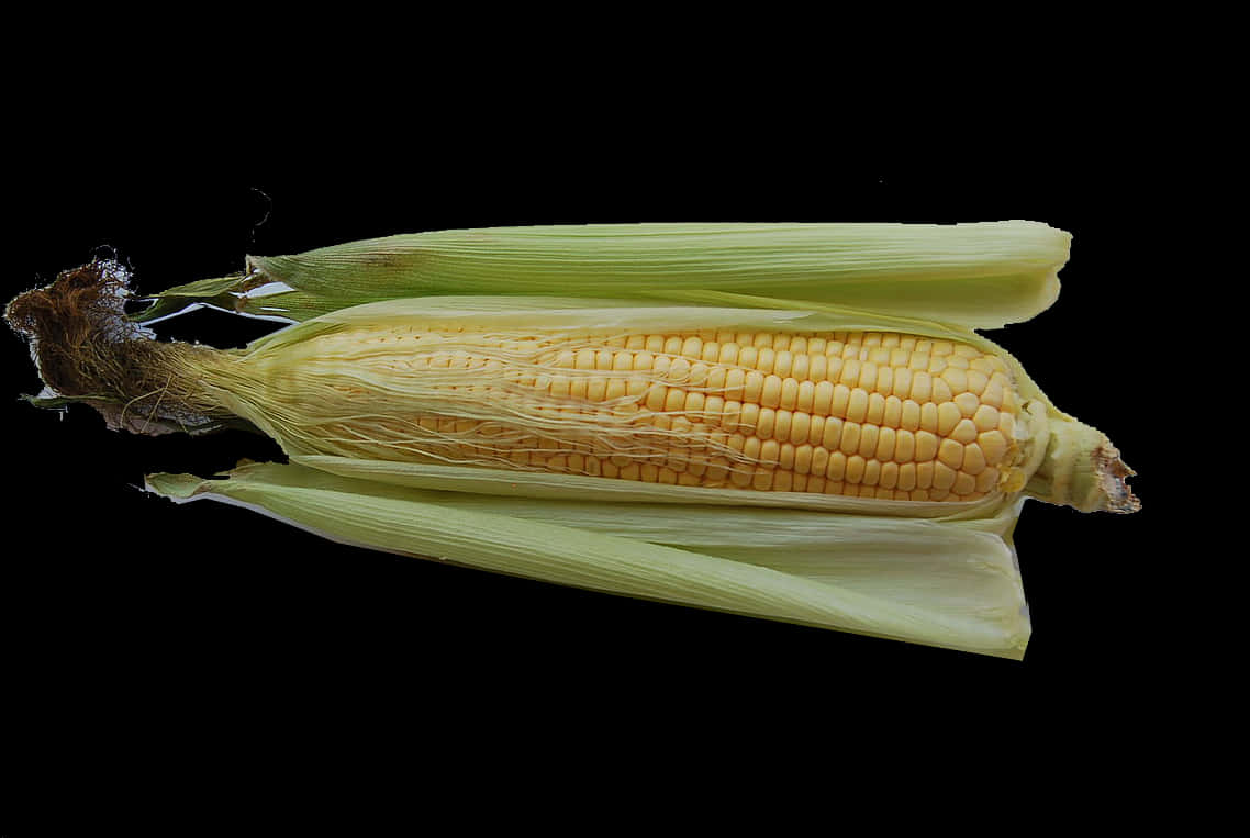 Fresh Corn Cobon Black Background.jpg