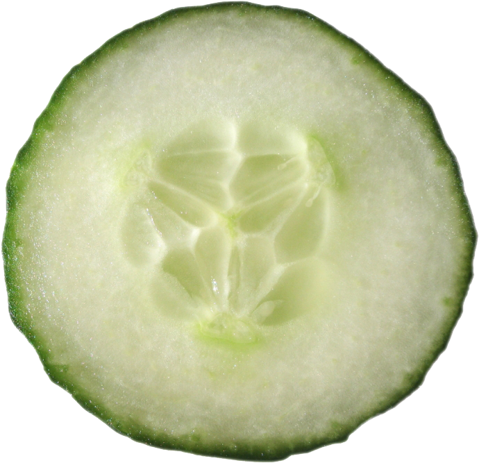 Fresh Cucumber Slice Macro