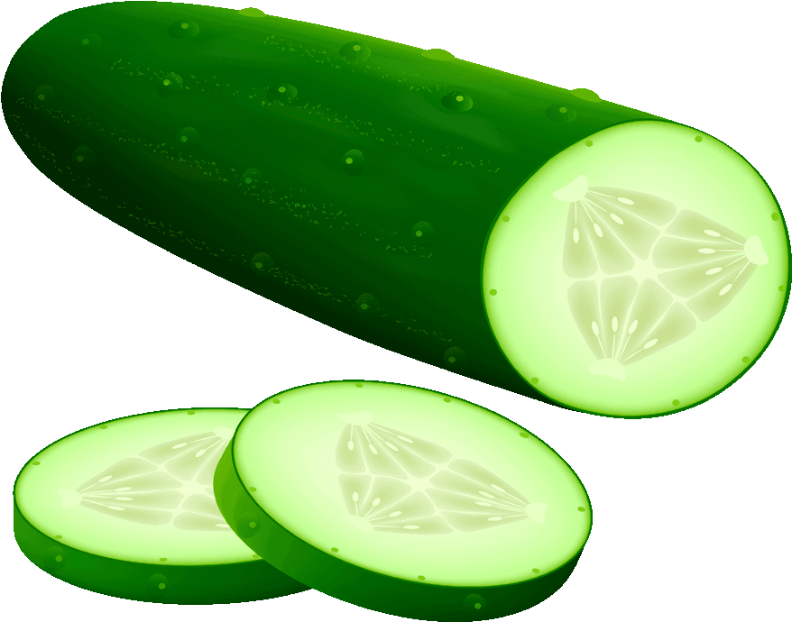 Fresh Cucumberand Slices Graphic