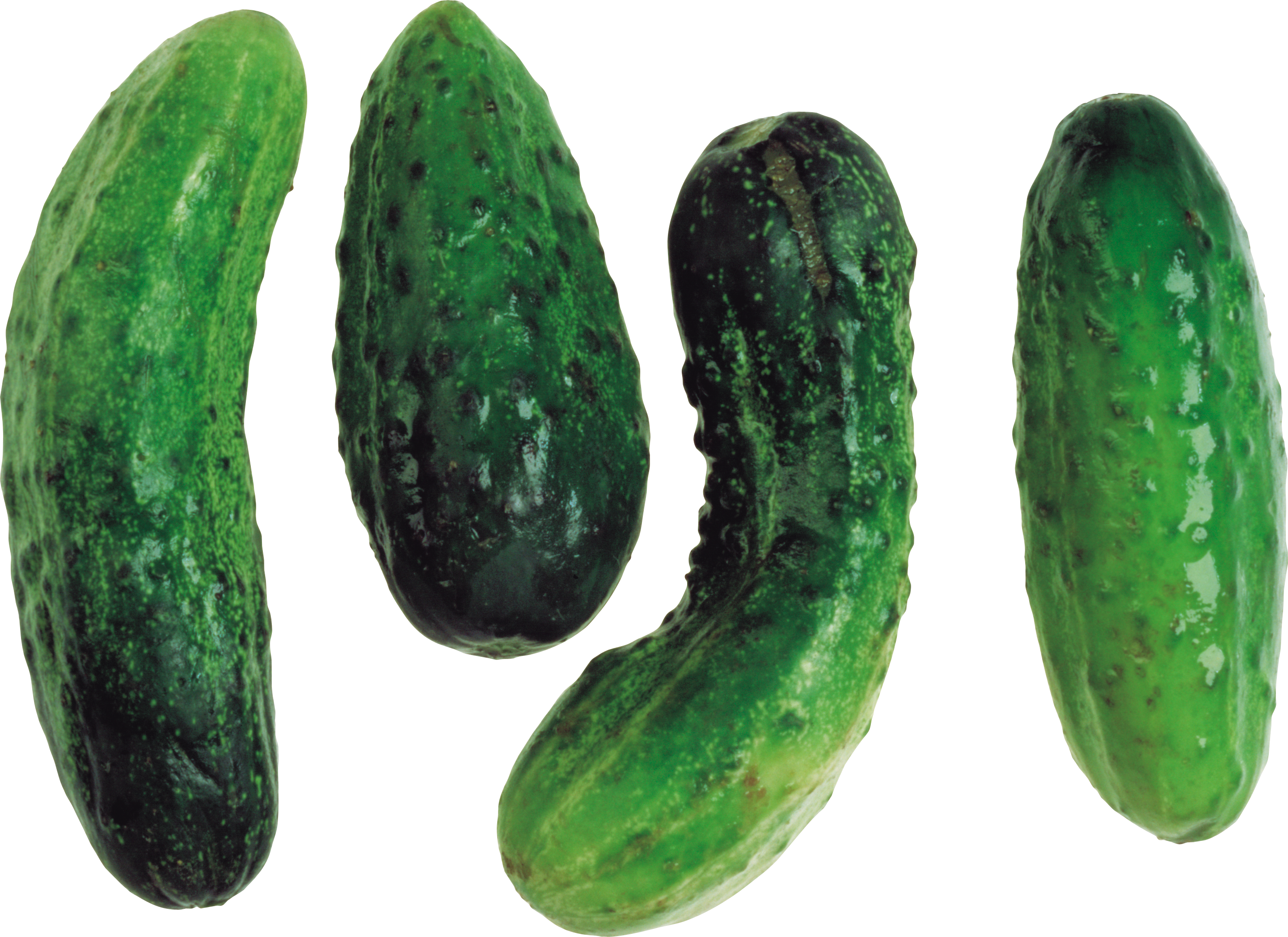 Fresh Cucumbers Isolated