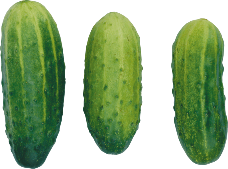 Fresh Cucumbers Isolatedon Transparent Background