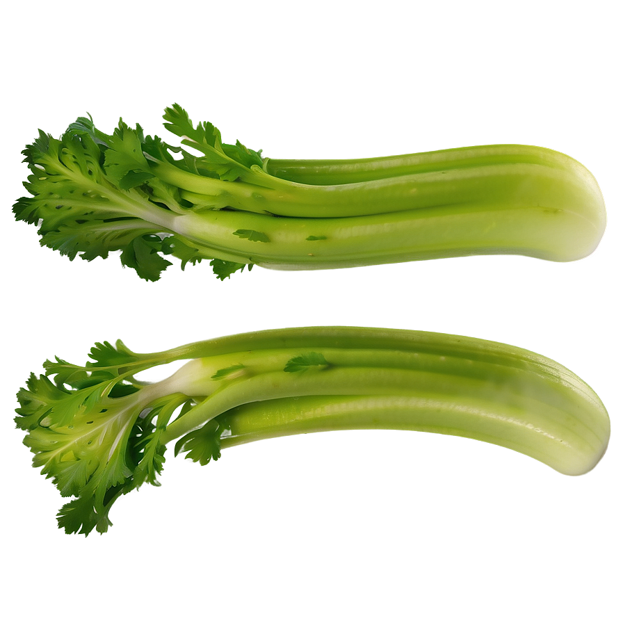 Fresh Cut Celery Png 06252024