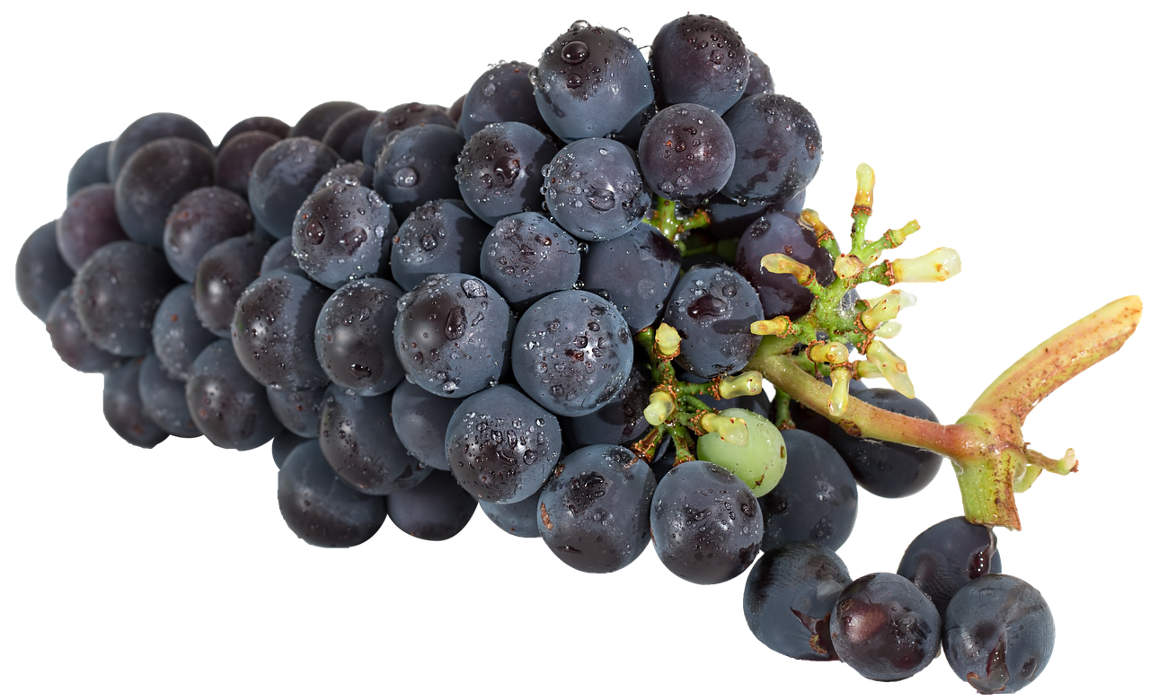 Fresh Dewy Black Grapes Cluster.jpg