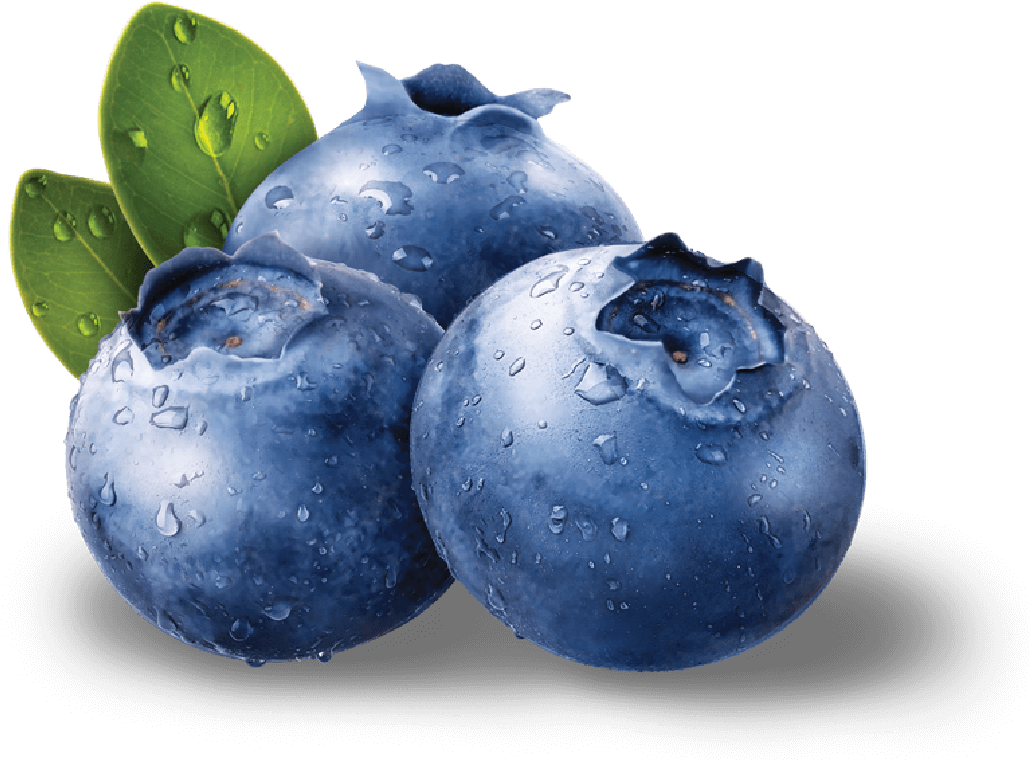 Fresh Dewy Blueberries