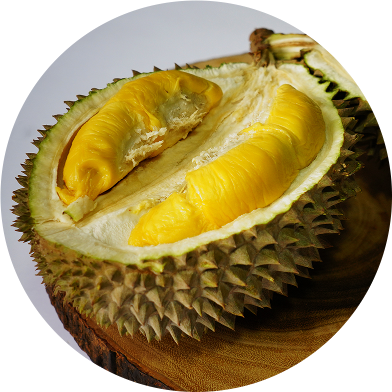 Fresh Durian Fruit Halved