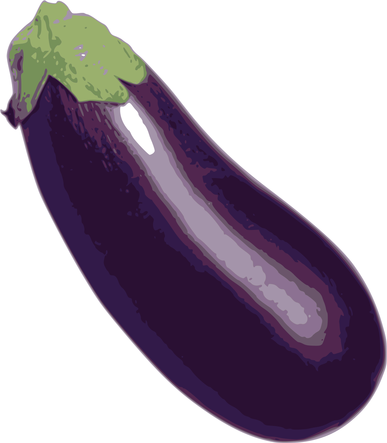 Fresh Eggplant Illustration