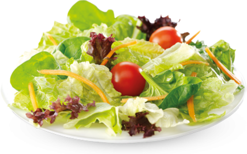 Fresh Garden Salad Plate