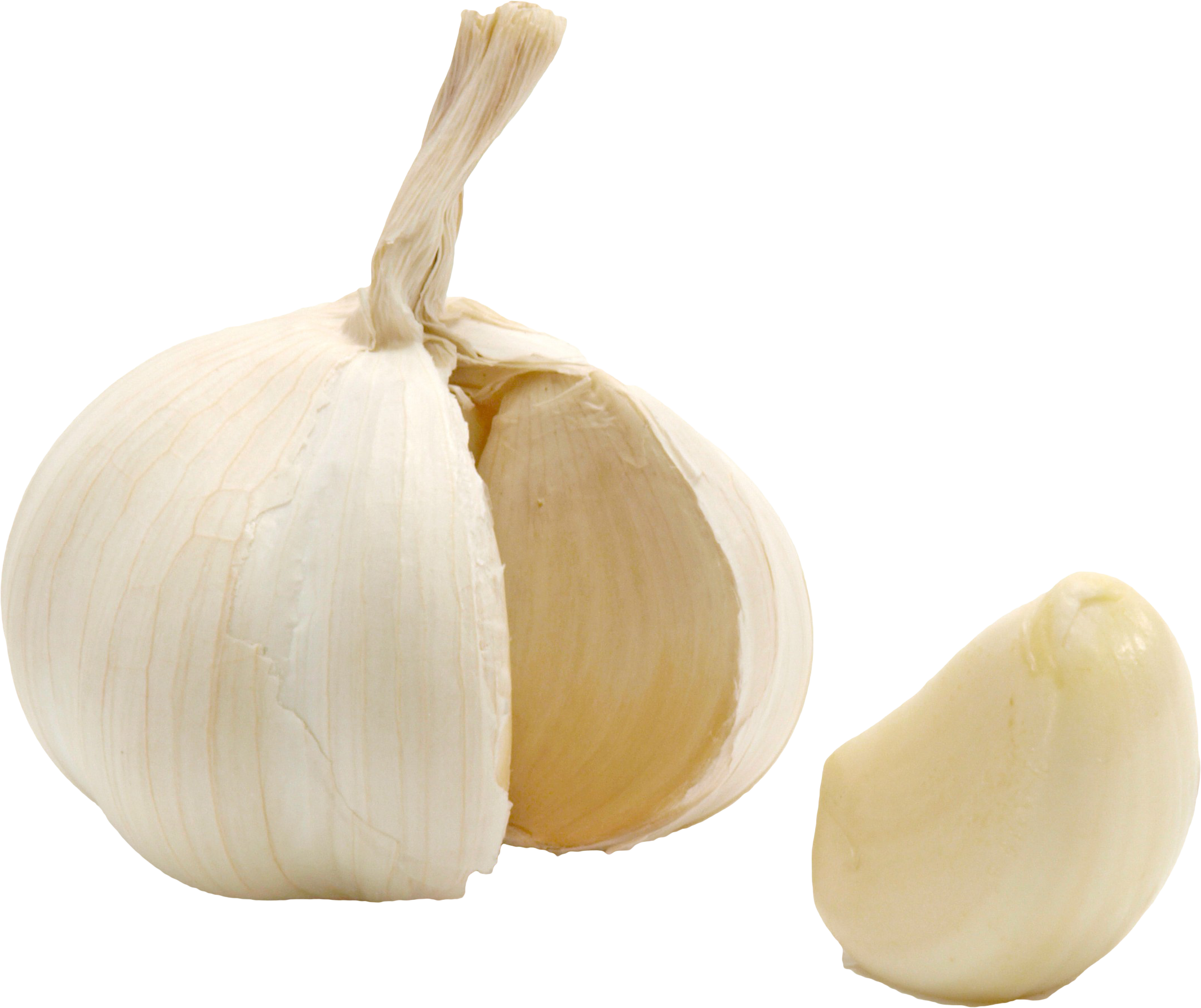 Fresh Garlic Bulband Clove