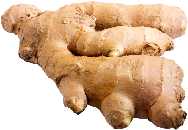 Fresh Ginger Root