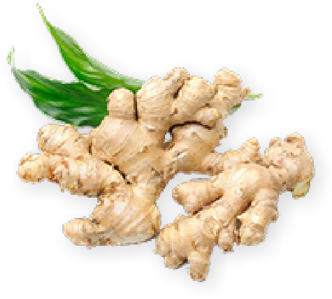 Fresh Ginger Rootwith Leaves