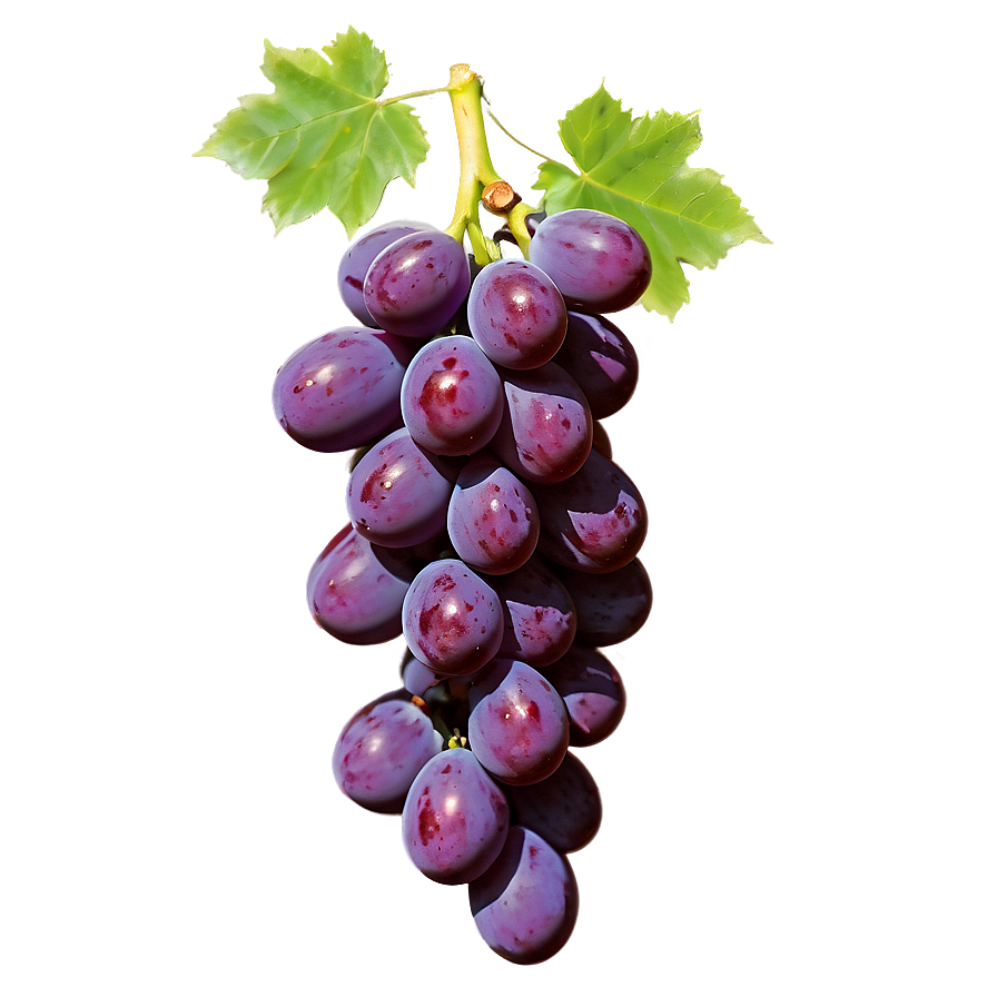 Fresh Grape Cluster Png Sce98