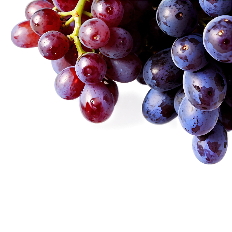 Fresh Grapes Png 22