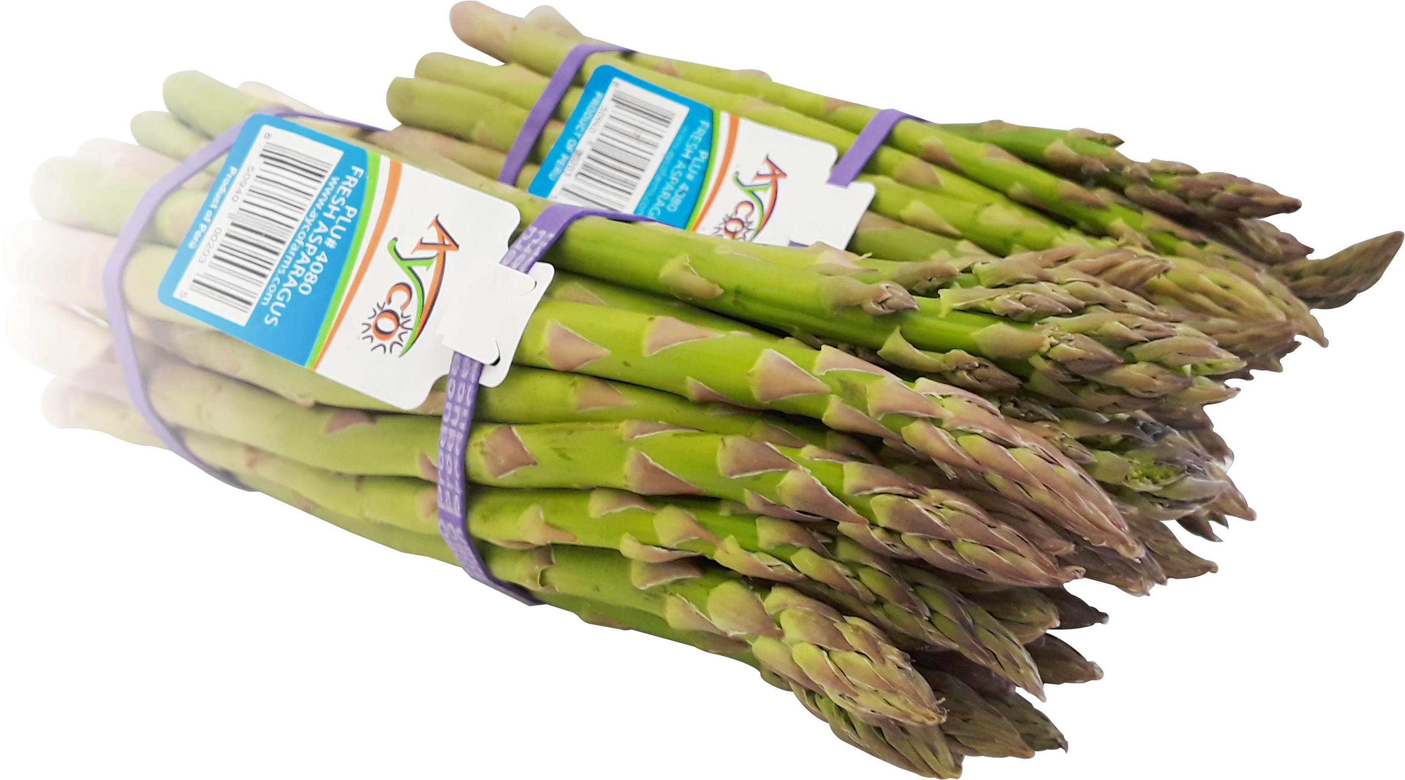 Fresh Green Asparagus Bunches