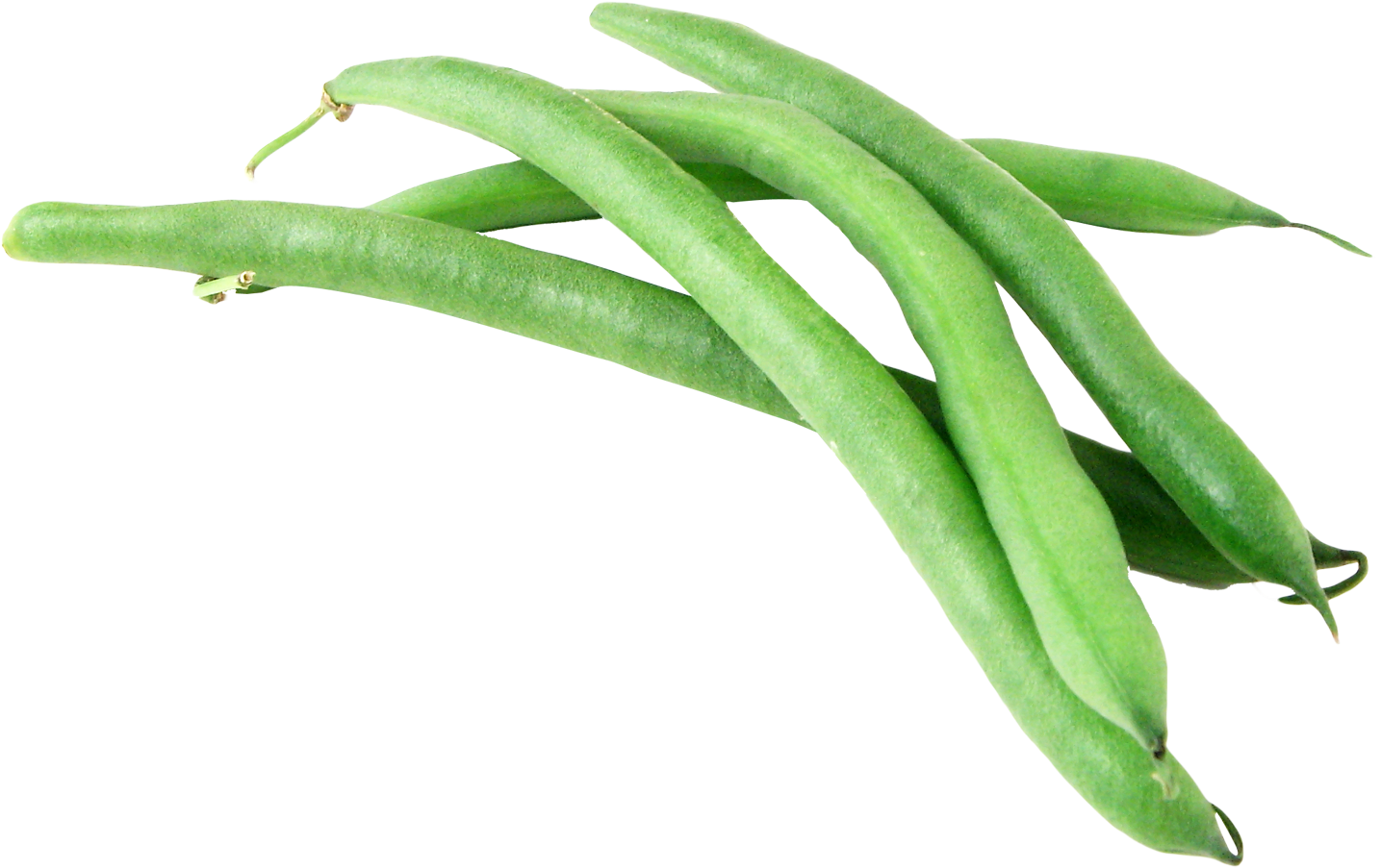 Fresh Green Beans Isolated
