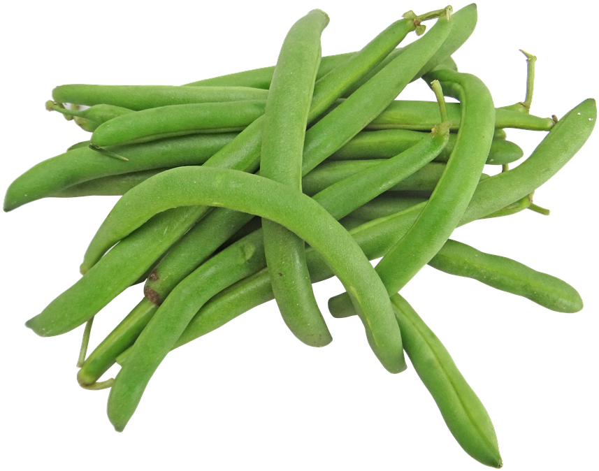 Fresh Green Beans P N G Image