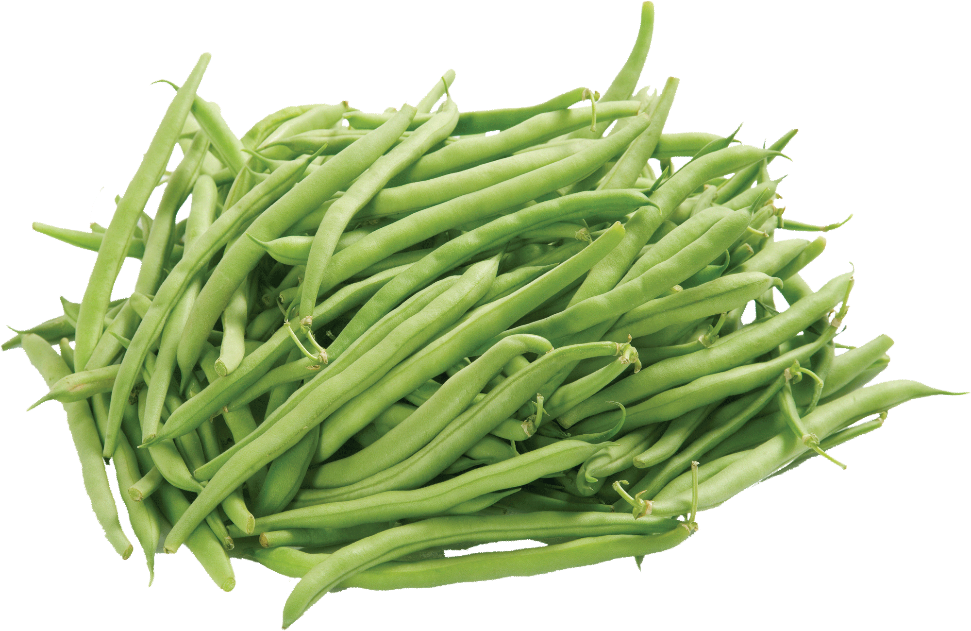 Fresh Green Beans Pile.png