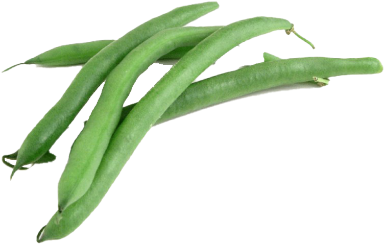 Fresh Green Beans Transparent Background