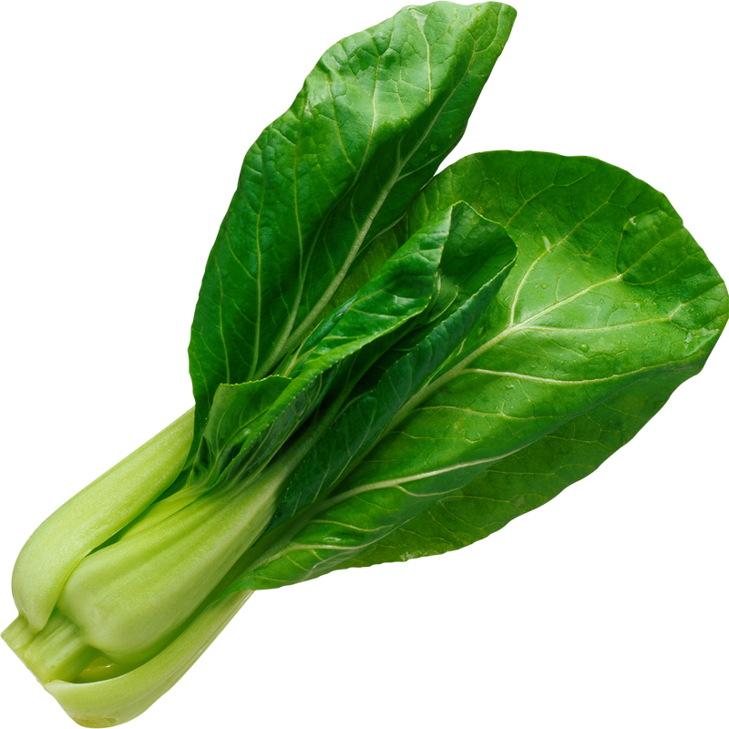 Fresh Green Bok Choy Vegetable.png